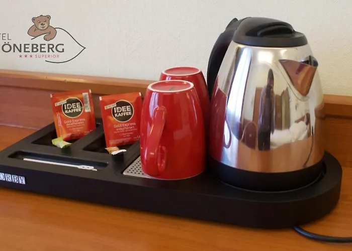 舍纳堡酒店 柏林